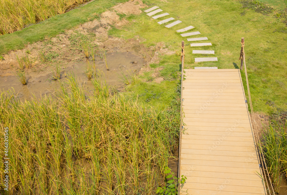 Top view of wooden board bridge with end and continue in rock path in the agricultural field of rice shows concept of endless journey of life which has to be go on in difficulty for success Top view of wooden board bridge with end and continue in rock path in the agricultural field of rice shows concept of endless journey of life which has to be go on in difficulty for success