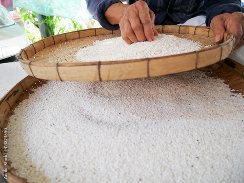 Farmer selects the impurity out off the grain jasmine rice seed by traditional hand process. Rice seeds are dried in the sun after being harvested from rice fields and milling.