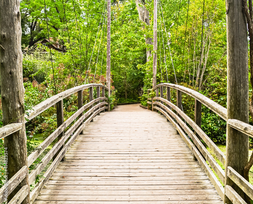 Beautiful wooden suspension bridge crosses over a freshwater wetland.  Long Island  New York.