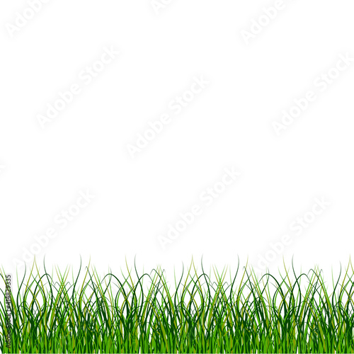 Grass, great design for any purposes. Nature background vector. Stock image. EPS 10.