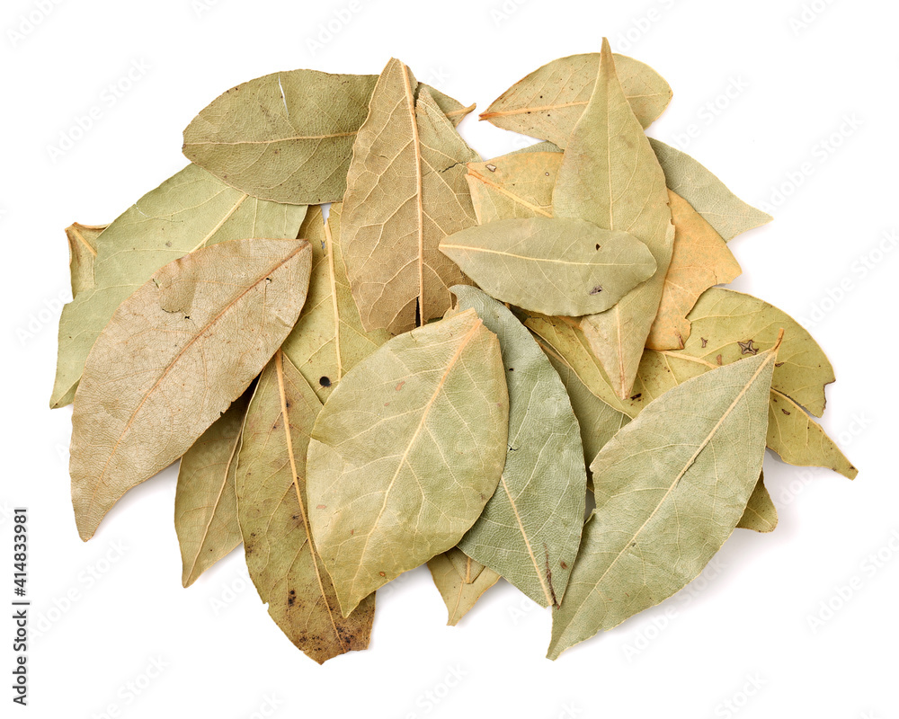 Aromatic bay leaves isolated on white background Aromatic bay leaves isolated on white background