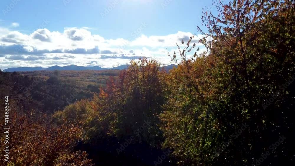Slow Drone rising up in autumn forest and a blue sky Slow Drone rising up in autumn forest and a blue sky