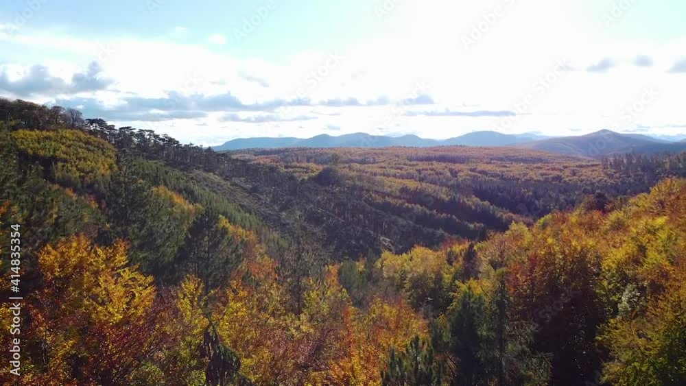 Slow cinematic drone flight over some trees in autumn forest and a blue sky Slow cinematic drone flight over some trees in autumn forest and a blue sky