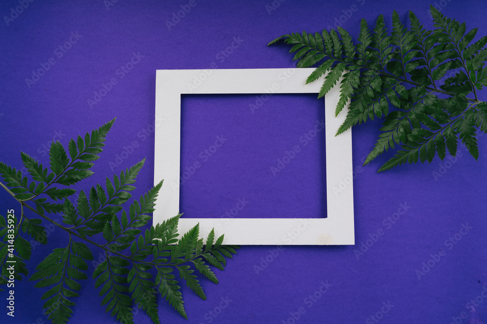 Tree branches lay flat on purple background with blank white frame card. Tree branches lay flat on purple background with blank white frame card.