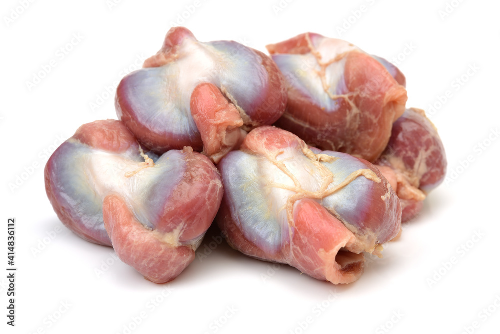 Raw Chicken gizzards on white background Raw Chicken gizzards on white background Raw Chicken gizzards on white background Raw Chicken gizzards on white background