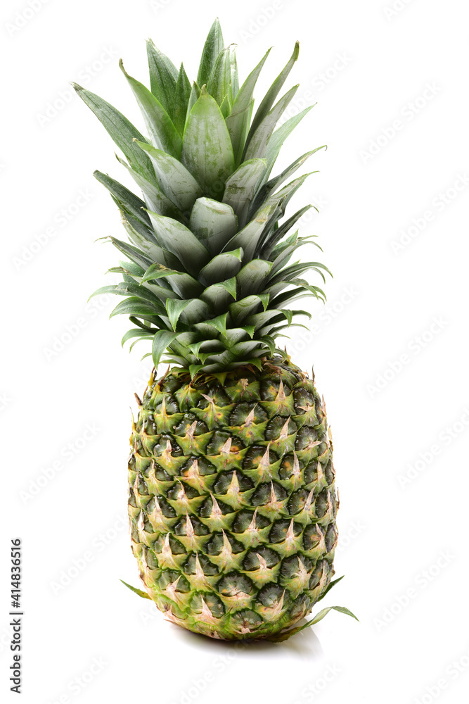 Fototapeta premium pineapple isolated on white background