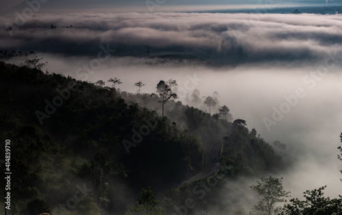 fog over the river