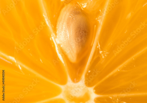 Orange slice detailed macro photography with seed in the middle