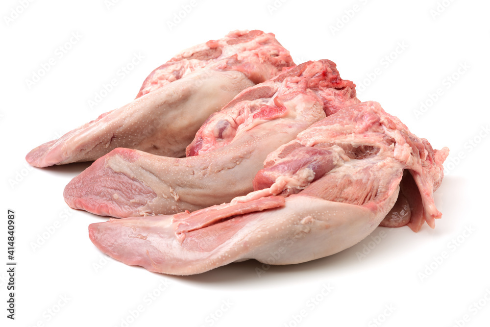 raw pork tongue isolated on white background raw pork tongue isolated on white background