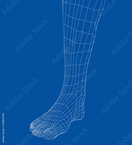 Wireframe leg. Close-up view