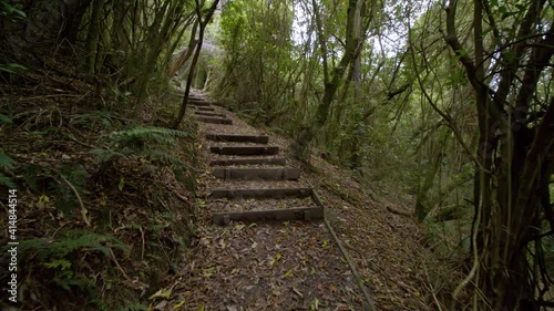 Steps leading up on a native bush hiking trail. photo