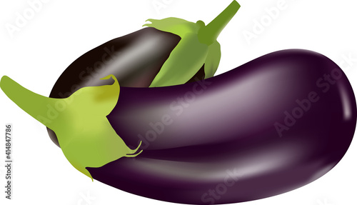 Two ripe eggplants. Harvest 