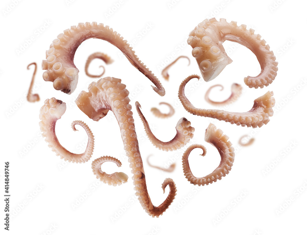 Squid tentacles in the shape of a heart on a white background Squid tentacles in the shape of a heart on a white background