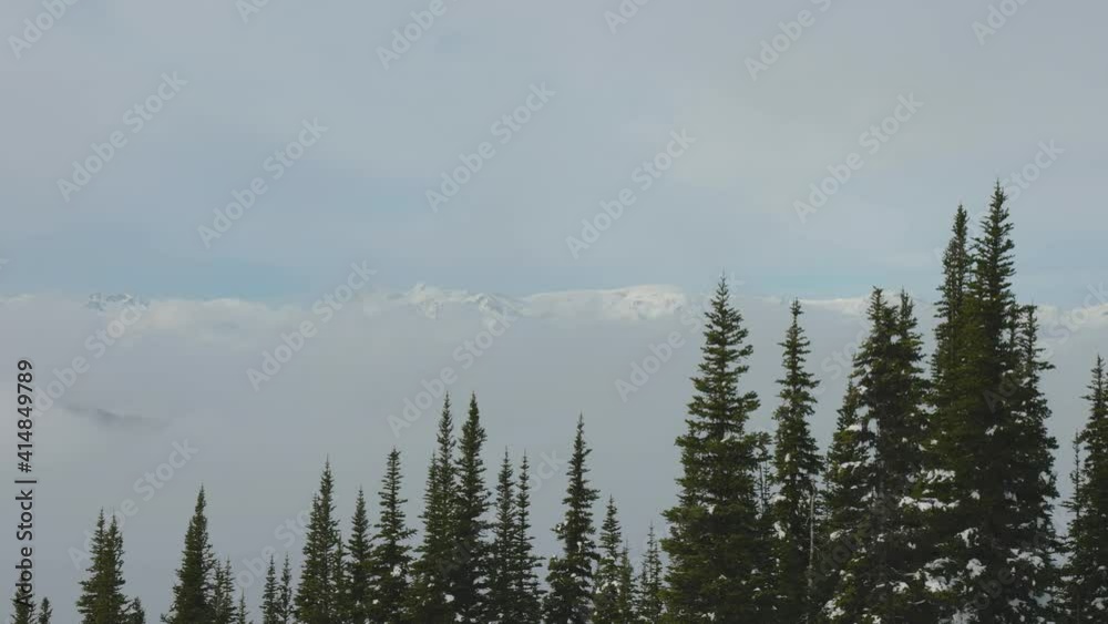 Snowy Forest on top of the mountains in winter during sunny morning. Beautiful White Canadian Nature. Taken in Whistler, British Columbia, Canada. Aerial View Slow Motion Snowy Forest on top of the mountains in winter during sunny morning. Beautiful White Canadian Nature. Taken in Whistler, British Columbia, Canada. Aerial View Slow Motion
