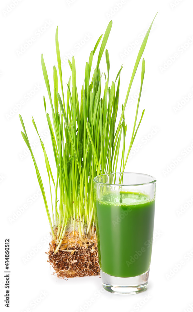 Glass with fresh wheatgrass juice on white background Glass with fresh wheatgrass juice on white background