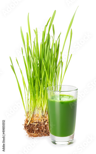 Glass with fresh wheatgrass juice on white background