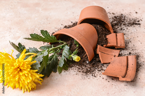 Broken flower pot on color background photo