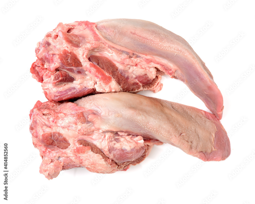 raw pork tongue isolated on white background raw pork tongue isolated on white background