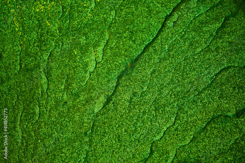 Stone texture with green moss. Beautiful green moss texture abstract wall background, ribbed surface texture with copy space, unusual spotty surface background.