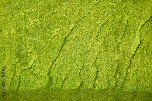 Stone texture with green moss. Beautiful green moss texture abstract wall background, ribbed surface texture with copy space, unusual spotty surface background.
