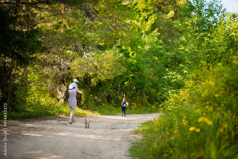 family walks on a road in the woods, selective focus