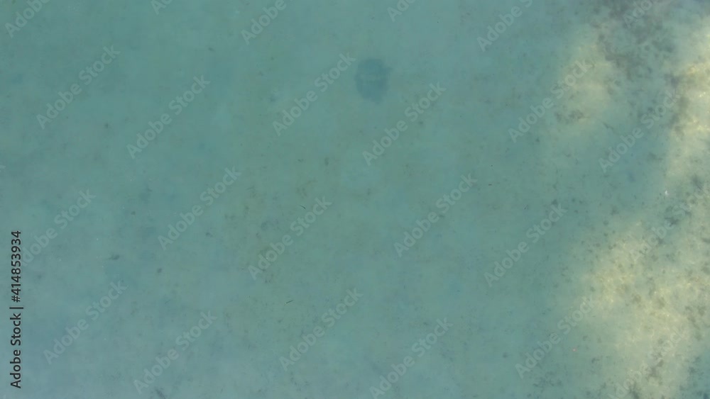 Aerial shot of young man swimming at sea on a beach of Mallorca. Concept of vacation, summer, enjoy and relax Aerial shot of young man swimming at sea on a beach of Mallorca. Concept of vacation, summer, enjoy and relax