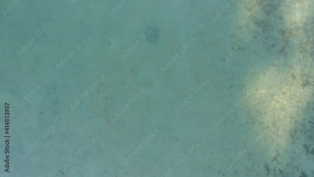 Aerial shot of young man swimming  at sea on a beach of Mallorca. Concept of vacation, summer, enjoy and relax