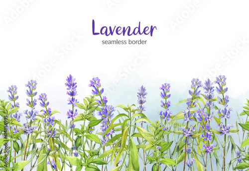 Lavender and green Verbena, field seamless border