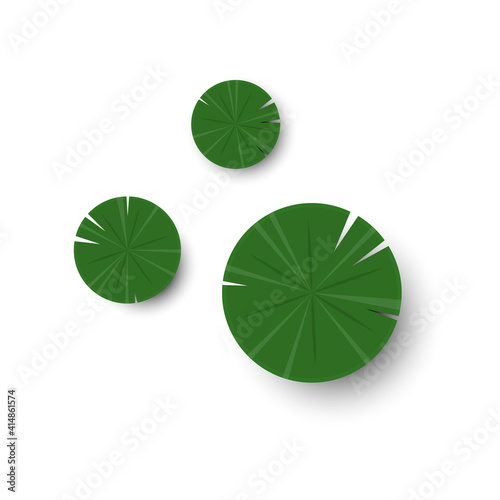 Lily pad vector. Lily pad logo design.