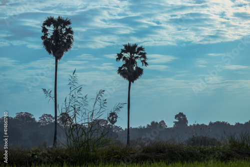 Abstract Background A view of the countryside of Asia  painted in retro and pastel tones  giving a feeling of a flashback to the past.