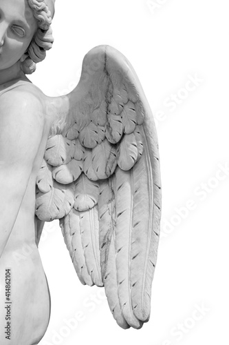 Obraz na plátně Angel wings isolated on white background with copyspace