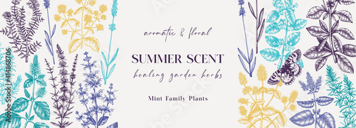 Mints on a chalkboard. Hand sketched medicinal herbs banner design. Vector mint plants sketches. Vintage summer flowers template. Botanical background with floral elements in engraved style.