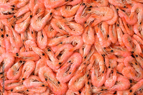 shrimp in the market