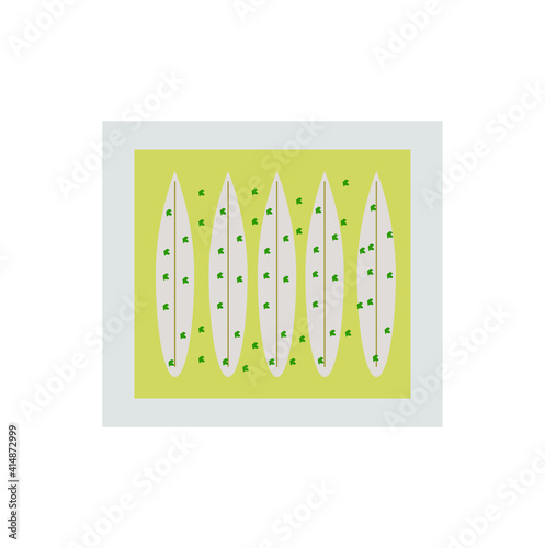 vector icon, plate of pickled anchovies