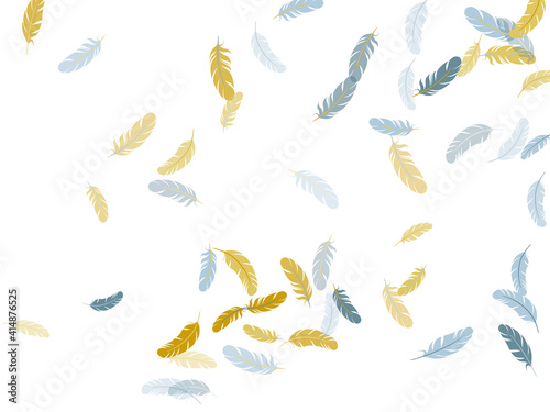 Falling feather elements soft vector design.