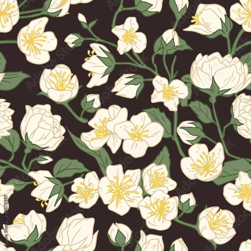 Seamless pattern of blossomed jasmine flowers on dark background. Design of floral repeatable backdrop for printing. Elegant flowery texture. Hand-drawn colored vector illustration