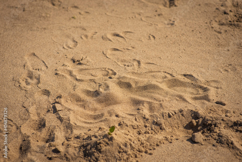 background with children's footprints in the sand, selective focus