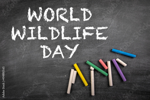 World Wildlife Day 3 March. Black chalk board background