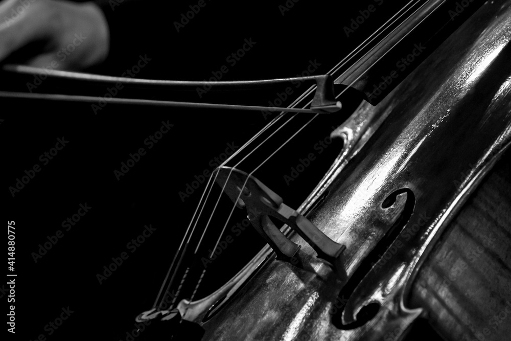 Close-up of bow on cello strings in black and white Close-up of bow on cello strings in black and white