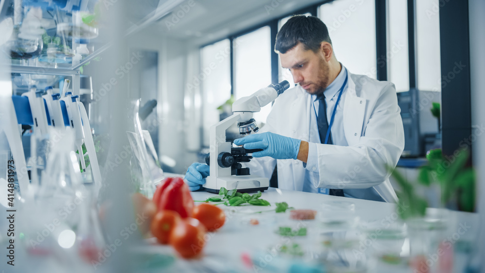 Male Microbiologist Puts Lab-Grown Cultured Vegan Meat Sample under Microscope for Analysis. Medical Scientist Working on Plant-Based Beef Substitute for Vegetarians in Modern Food Science Laboratory.