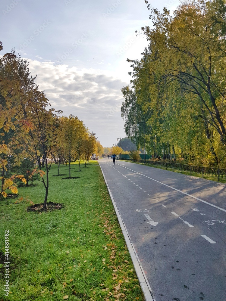 Obraz premium autumn in the park