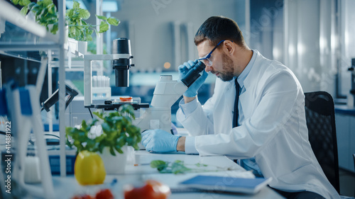 Handsome Male Scientist in Safety Glasses Analyzing a Lab-Grown Tomato Through an Advanced Microscope. Microbiologist Working on Molecule Samples in Modern Laboratory with Technological Equipment.