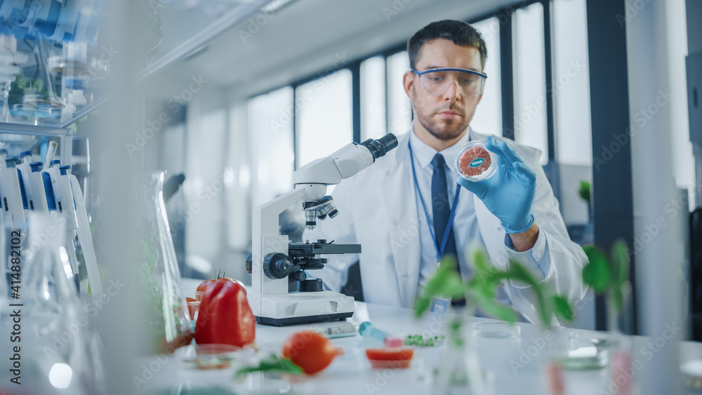 Male Microbiologist Looking at a LabGrown Cultured Vegan Meat Sample
