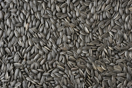 Canvastavla Sunflower seeds background