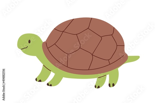 Cute and funny green turtle with brown shell. Side view of happy tortoise character standing isolated on white background. Childish colored flat vector illustration