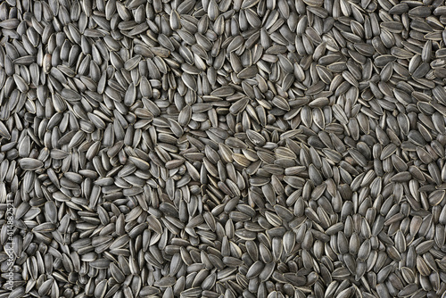 Sunflower seeds background