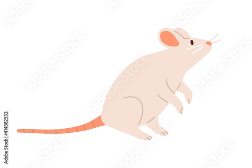 Cute white mouse standing on back paws and sniffing. Rat with long tail and little ears. Childish animal character. Colored flat vector illustration isolated on white background