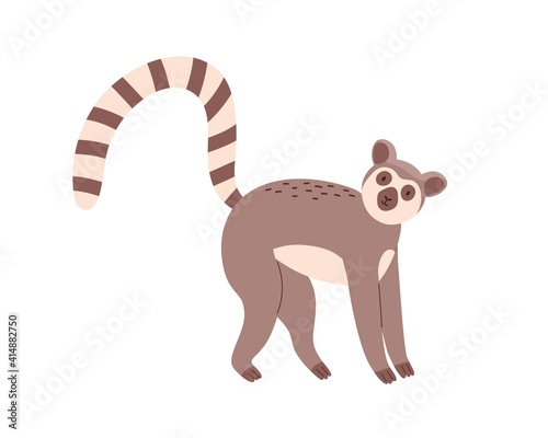 Cute and funny lemur with striped long tail isolated on white background. Hap...