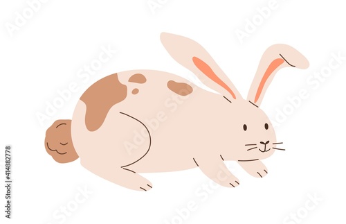 Cute spotted rabbit isolated on white background. Happy bunny. Funny animal character. Colored flat cartoon vector illustration