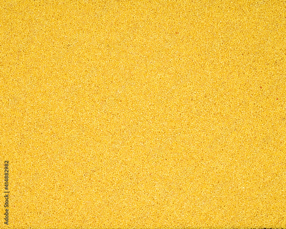 Fototapeta premium Millet background